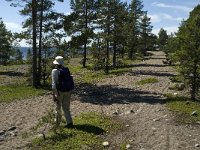 S, Gavleborgs lan, Hudiksvall, Holick 30, Saxifraga-Jan van der Straaten