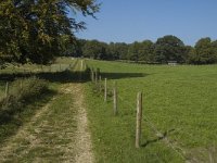 NL, Gelderland, Arnhem, Klarenbeek 13, Saxifraga-Marijke Verhagen