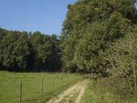 NL, Gelderland, Arnhem, Klarenbeek 15, Saxifraga-Marijke Verhagen