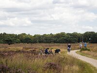 Jannie op Speulderveld