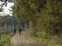 NL, Limburg, Weert, Areven 1, Saxifraga-Jan van der Straaten