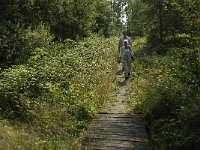 NL, Limburg, Weert, Kettingdijk 2, Saxifraga-Jan van der Straaten