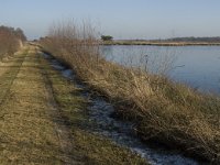 NL, Noord-Brabant, Asten, Groote Peel 23, Saxifraga-Jan van der Straaten