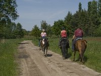 NL, Noord-Brabant, Baarle-Nassau, De Broskens 40, Saxifraga-Jan van der Straaten