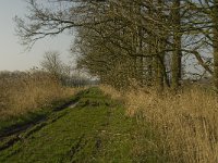 NL, Noord-Brabant, Baarle-Nassau, De Manke Goren 181, Saxifraga-Marijke Verhagen