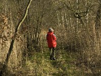 NL, Noord-Brabant, Bergeijk, Pastoorsweijer 9, Saxifraga-Jan van der Straaten