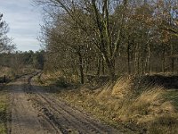 NL, Noord-Brabant, Bergeijk, Zwarte Horstweijer 3, Saxifraga-Jan van der Straaten