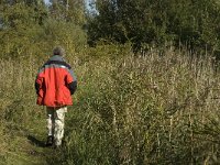 NL, Noord-Brabant, Bergen op Zoom, Hildernisse 12, Saxifraga-Jan van der Straaten