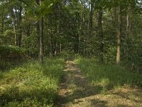 NL, Noord-Brabant, Boxtel, De Geelders 45, Saxifraga-Jan van der Straaten