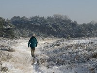 NL, Noord-Brabant, Cranendonck, Groote Heide 14, Saxifraga-Marijke Verhagen