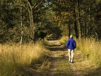 NL, Noord-Brabant, Cranendonck, Hugterheide 12, Saxifraga-Jan van der Straaten