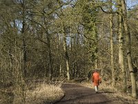 NL, Noord-Brabant, Oirschot, Heerenbeek 21, Saxifraga-Jan van der Straaten