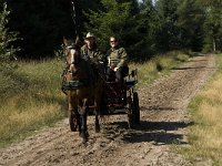 NL, Noord-Brabant, Reusel-De Mierden, Mispeleindsche Heide 6, Saxifraga-Jan van der Straaten