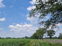 Noord-Brabant