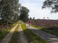 Jannie fietsend op de hei  Sallandse Heuvelrug NP, Overijssel, Netherlands : cycling, elderly woman, heathland, mature woman, NP, national park, Sallandse Heuvelrug, summertime