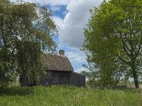 NL, Noord-Brabant, Altena, Ruwenhennip 19, Saxifraga-Jan van der Straaten