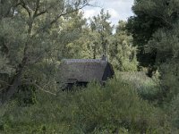 NL, Noord-Brabant, Altena, Ruwenhennip 53, Saxifraga-Willem van Kruijsbergen