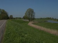 NL, Noord-Brabant, Altena, Merwededijk 2, Saxifraga-Jan van der Straaten