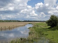 NL, Noord-Brabant, Drimmelen, Noorderplaat 40, Saxifraga-Willem van Kruijsbergen