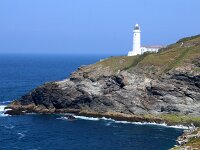 GB, Cornwall, Padstow, Trevose Head 2, Saxifraga-Foto Fitis-Sytske Dijksen