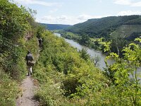 D, Rheinland-Pfalz, Cochem 10, Saxifraga-Foto Fitis-Sytske Dijksen