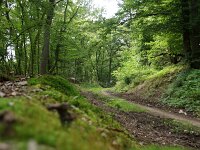 D, Rheinland-Pfalz, Klotten 1, Saxifraga-Foto Fitis-Sytske Dijksen