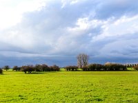 NL, Gelderland, Voorst, Rammelwaard 3, Saxifraga-Bart Vastenhouw