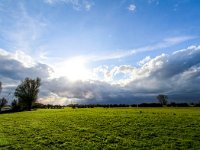 NL, Gelderland, Voorst, Rammelwaard 5, Saxifraga-Bart Vastenhouw