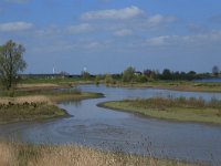 NL, Gelderland, Zaltbommel, Breemwaard 22, Saxifraga-Hans Boll