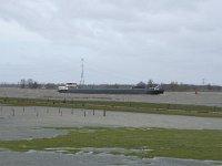 NL, Noord-Brabant, Altena, Nieuwe Merwede 2, Saxifraga-Willem van Kruijsbergen