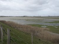 NL, Noord-Brabant, Altena, Nieuwe Merwede 4, Saxifraga-Willem van Kruijsbergen