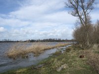 NL, Noord-Brabant, Altena, Noord van Bandijk to De Wassende Maan 1, Saxifraga-Willem van Kruijsbergen