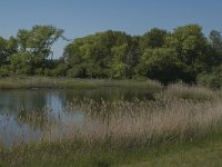 NL, Noord-Brabant, Heusden, Elshoutse Zeedijk 11, Saxifraga-Marijke Verhagen