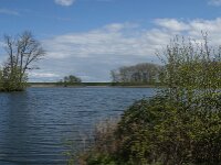 NL, Noord-Brabant, Heusden, Haarsteegse Wiel 13, Saxifraga-Jan van der Straaten