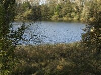 NL, Noord-Brabant, Heusden, Haarsteegse Wiel 32, Saxifraga-Jan van der Straaten