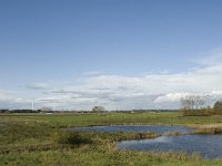 NL, Noord-Brabant, Heusden, Zeedijk 13, Saxifraga-Jan van der Straaten