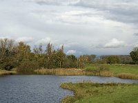 NL, Noord-Brabant, Heusden, Zeedijk 14, Saxifraga-Jan van der Straaten