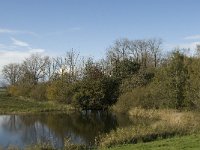 NL, Noord-Brabant, Heusden, Zeedijk 15, Saxifraga-Jan van der Straaten