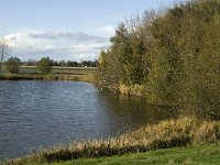 NL, Noord-Brabant, Heusden, Zeedijk 5, Saxifraga-Jan van der Straaten