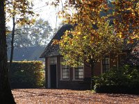 NL, Drenthe, Noordenveld, Westervelde 2, Saxifraga-Hans Dekker