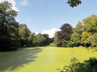 NL, Drenthe, Tynaarlo, Landgoed De Braak bij Eelde 2, Saxifraga-Tom Heijnen