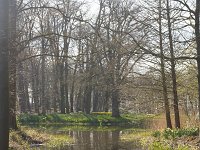 NL, Gelderland, Putten, Landgoed Oldenaller 1, Saxifraga-Jan Nijendijk