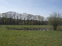 NL, Noord-Brabant, Alphen-Chaam, De Hoevens 36, Saxifraga-Willem van Kruijsbergen