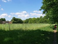 NL, Noord-Brabant, Goirle, Landgoed De Hoevens 2, Saxifraga-Tom Heijnen