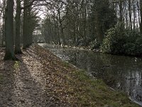 NL, Noord-Brabant, Heeze-Leende, Kasteel Heeze 8, Saxifraga-Jan van der Straaten