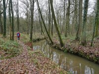 NL, Noord-Brabant, Reusel-De Mierden, Landgoed Wellenseind 2, Saxifraga-Tom Heijnen