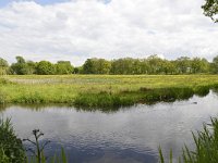 NL, Noord-Brabant, Sint-Michielsgestel, Dommel in Landgoed Zegenwerp 4, Saxifraga-Tom Heijnen