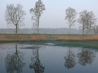 NL, Noord-Brabant, Valkenswaard, Visvijvers in Landgoed Valkenhorst 3, Saxifraga-Tom Heijnen