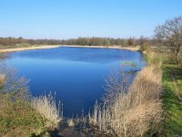 NL, Noord-Brabant, Valkenswaard, Visvijvers in Landgoed Valkenhorst 31, Saxifraga-Tom Heijnen