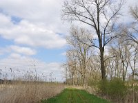 NL, Noord-Brabant, Valkenswaard, Visvijvers in Landgoed Valkenhorst 9, Saxifraga-Tom Heijnen